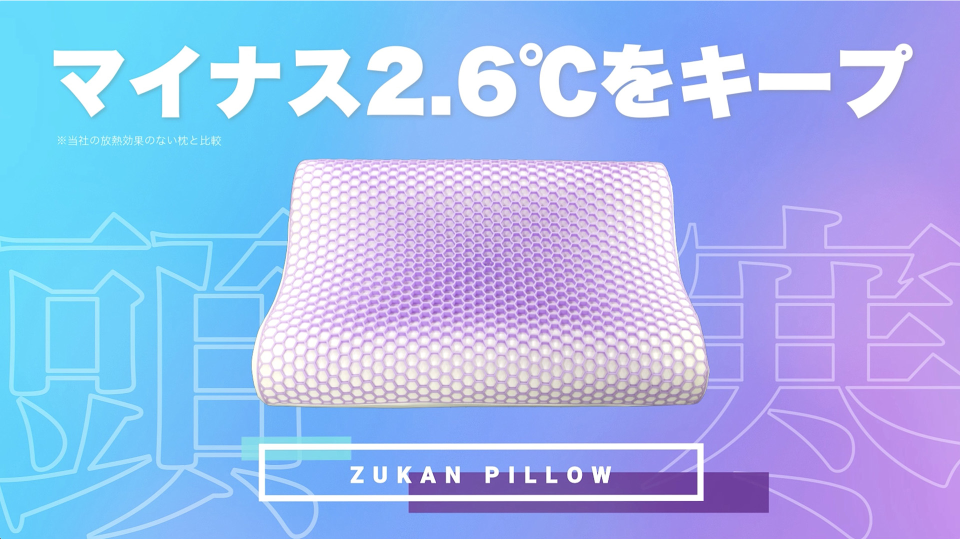 【値下げ中】フランスベッド ZUKANピロー フランスベッド 快眠枕 ズカンピロー ZUKAN PILLOW 枕 France